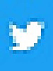 青い鳥の詰め合わせ②